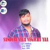 SANDERI VELA VEGICHA YAA